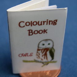Owl Colouring Book